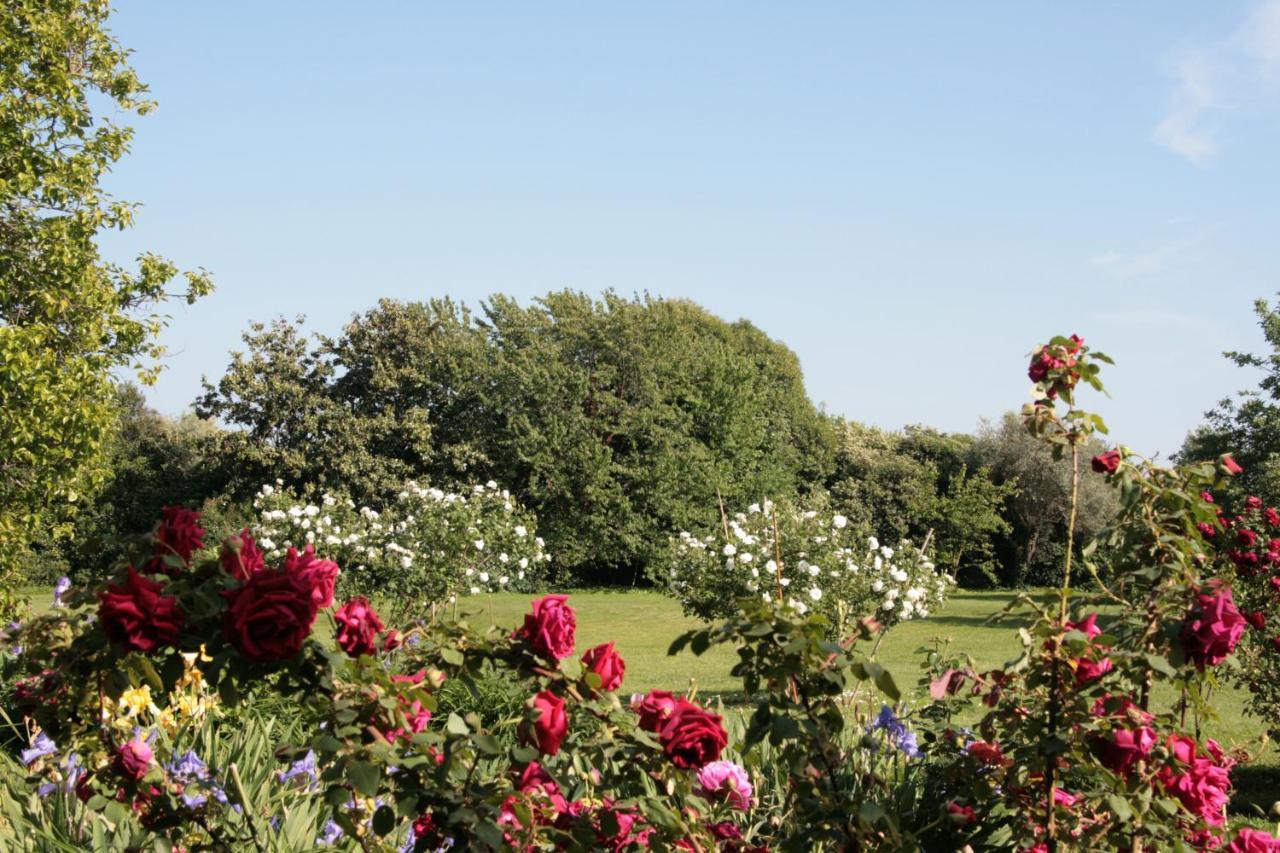 Pietrasanta - Versilia - Villa Arzilla Garden Con Piscina Tonfano Zewnętrze zdjęcie
