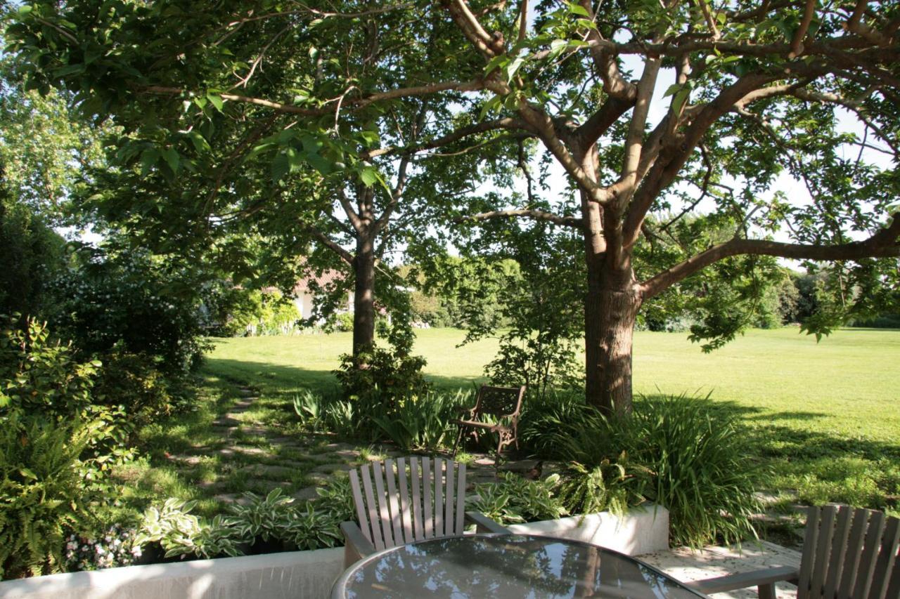 Pietrasanta - Versilia - Villa Arzilla Garden Con Piscina Tonfano Zewnętrze zdjęcie