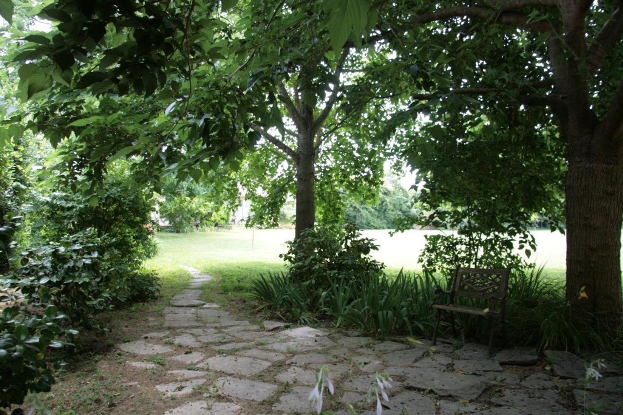 Pietrasanta - Versilia - Villa Arzilla Garden Con Piscina Tonfano Zewnętrze zdjęcie