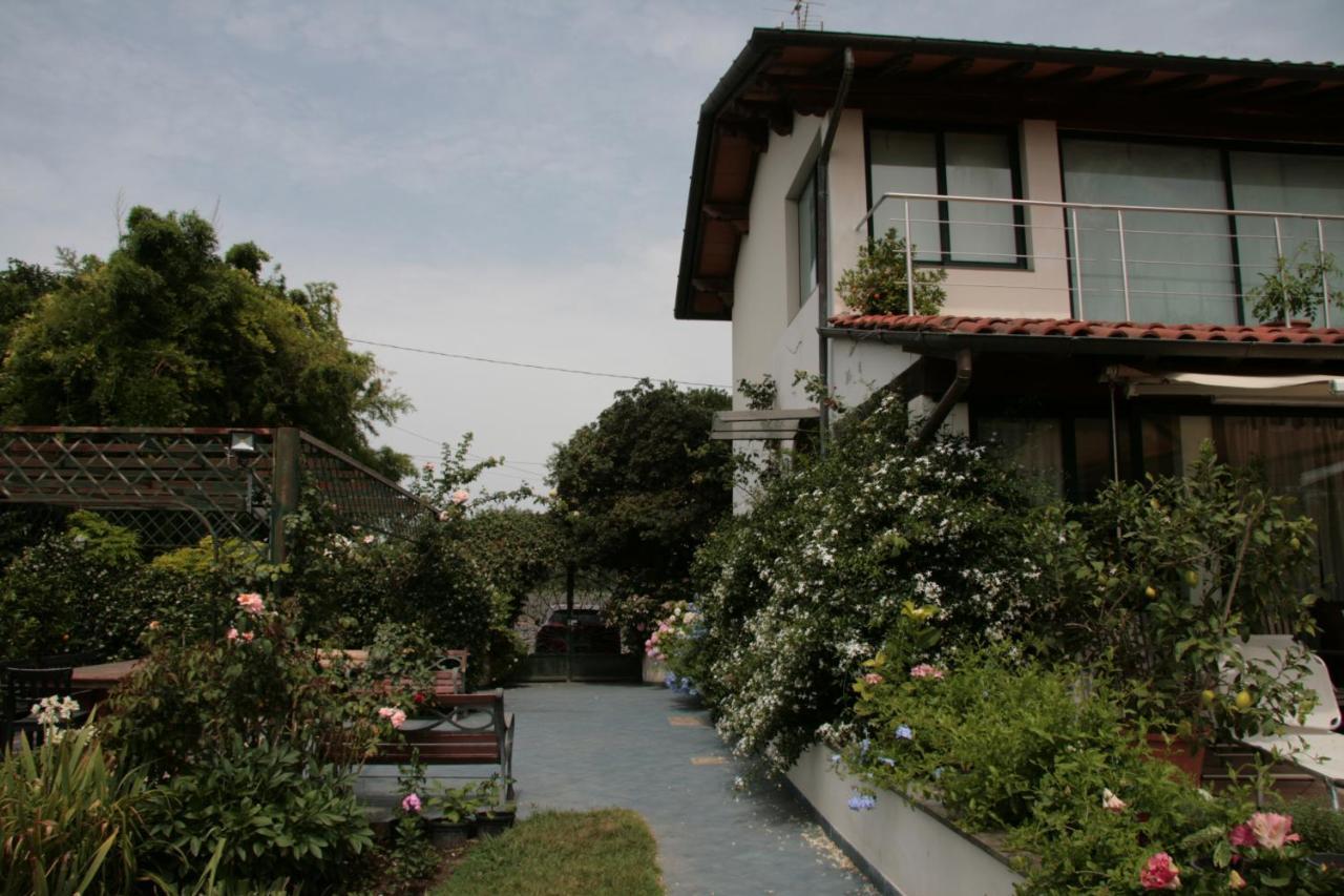 Pietrasanta - Versilia - Villa Arzilla Garden Con Piscina Tonfano Zewnętrze zdjęcie